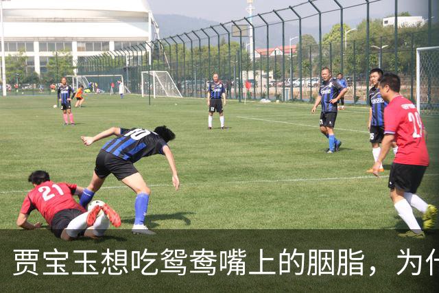 贾宝玉想吃鸳鸯嘴上的胭脂，为什么在《红楼梦》里不是性骚扰？